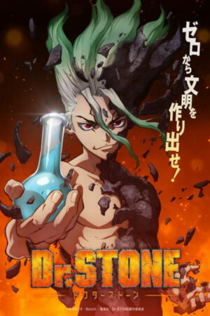 Dr. Stone